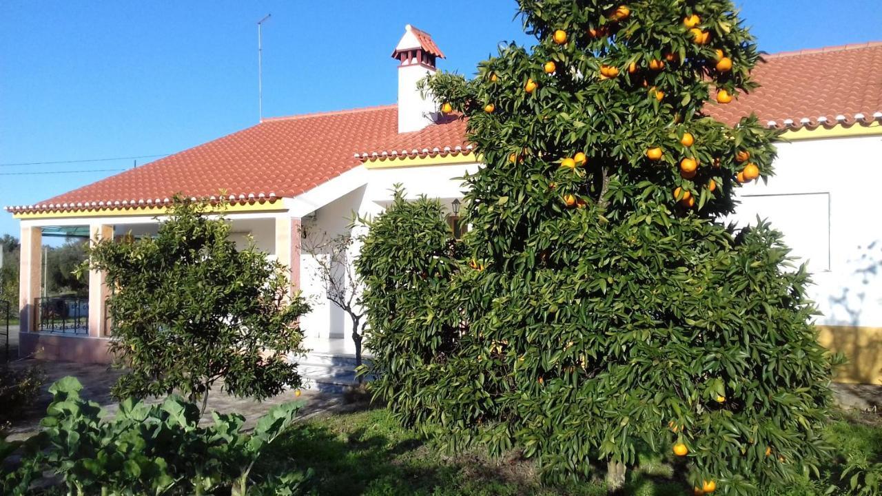 Tapada Da Beira Villa Marvao  Ngoại thất bức ảnh