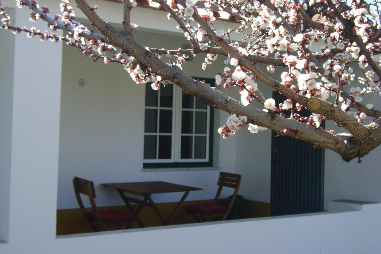 Tapada Da Beira Villa Marvao  Ngoại thất bức ảnh